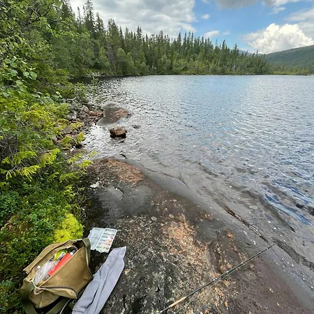 度假居 Architect-designed With Views Of Sigdal *